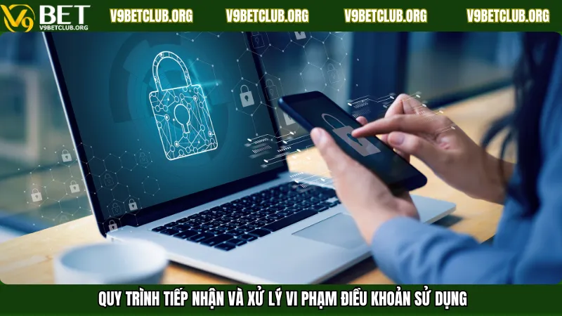 Quy trình tiếp nhận và xử lý vi phạm điều khoản sử dụng