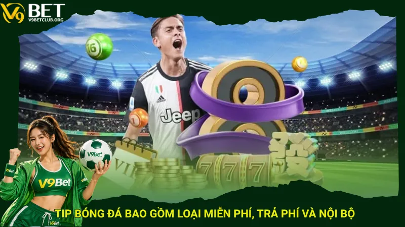 Tip bóng đá bao gồm loại miễn phí, trả phí và nội bộ