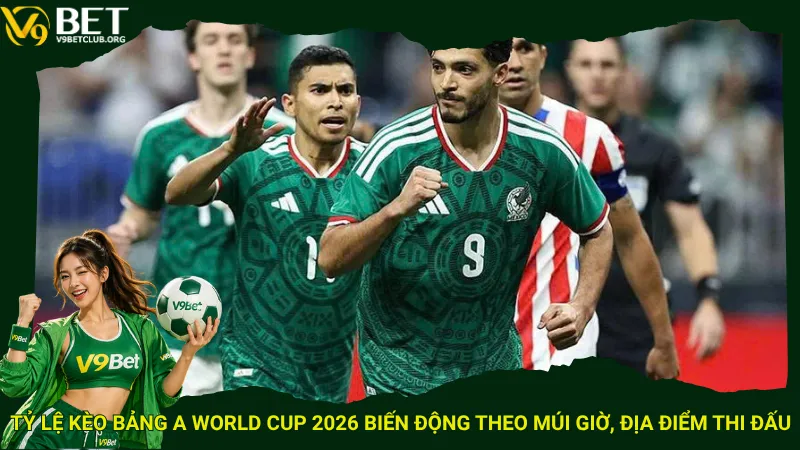 Tỷ lệ kèo bảng A World Cup 2026 biến động theo múi giờ, địa điểm thi đấu